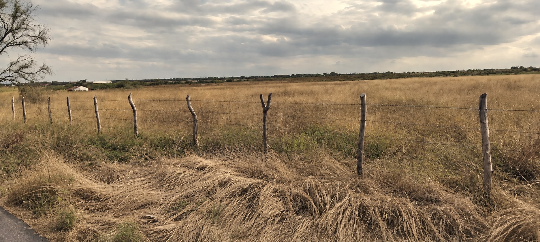 Campo abierto con cerco de postes hasta el horizonte